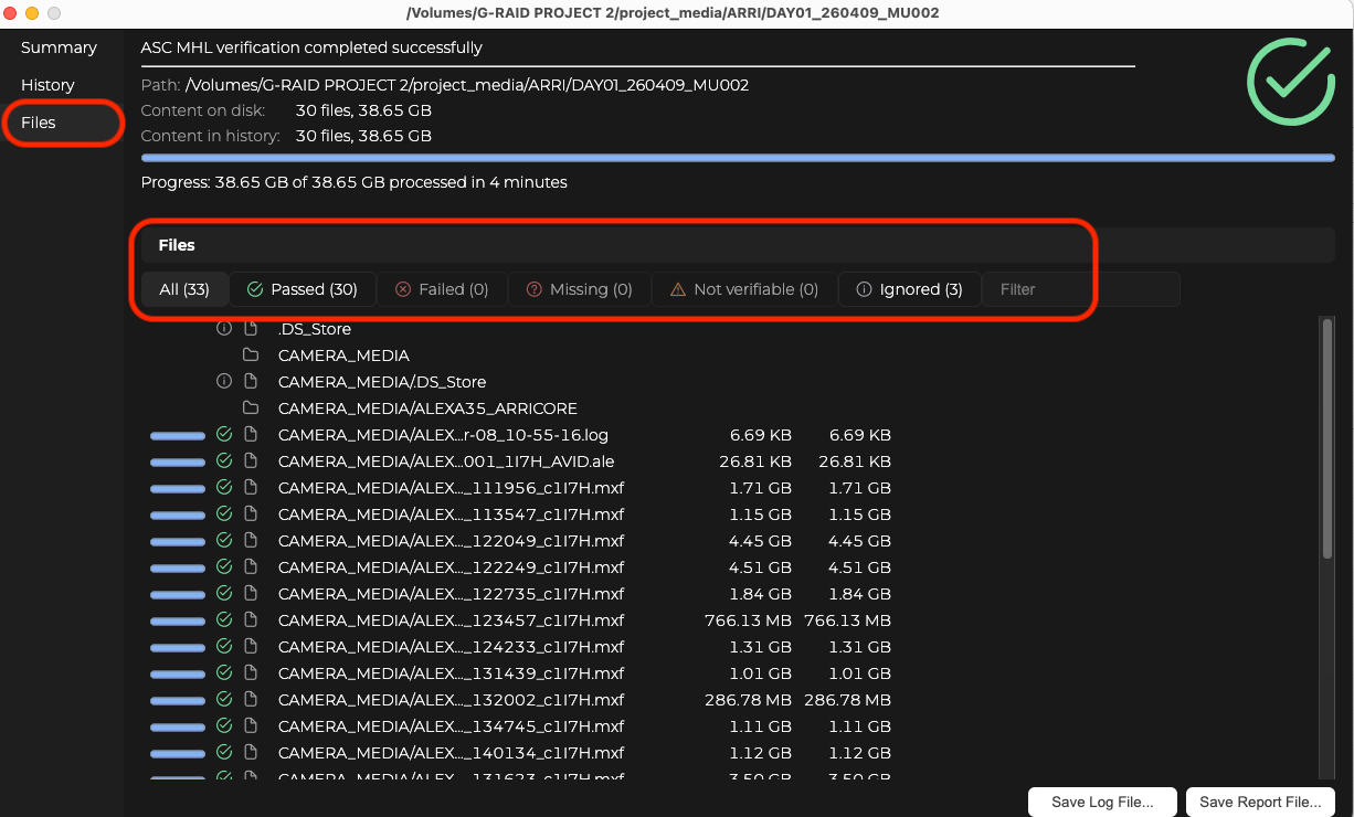 Files tab showing all 30 files passed with zero failed or missing