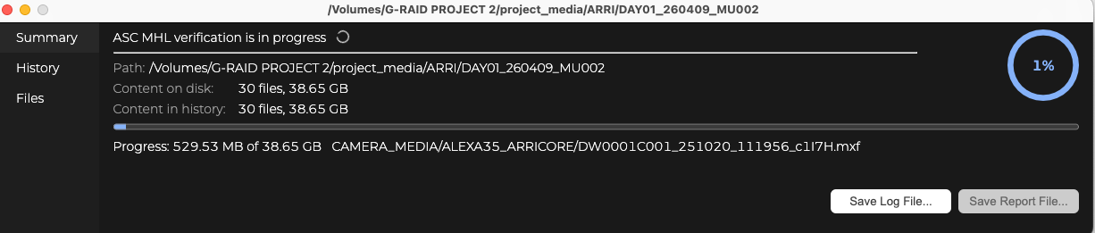 Verification in progress showing a percentage ring and the file currently being checked