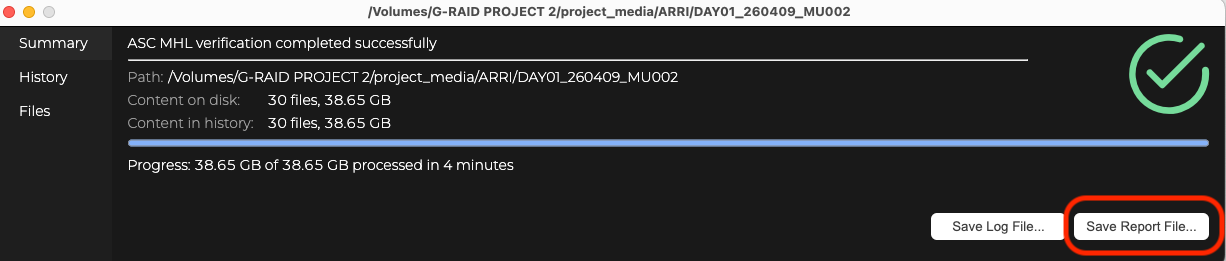 Save Report File button highlighted after a successful verification